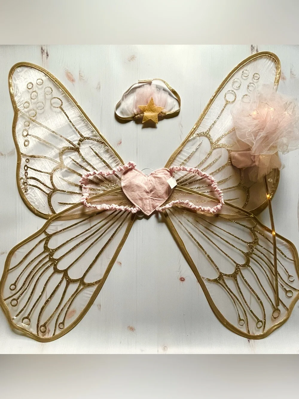 Pottery Barn Fairy Costume Dress with Wings and Wand - Picture 2 of 16